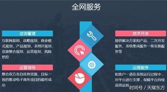 全網數商 產業互聯網創新典范，引領電商技術服務新紀元